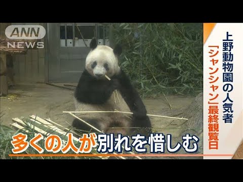 上野動物園の「シャンシャン」　観覧最終日で応募総数“6万人以上”　多くの惜しむ声(2023年2月20日)