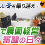 厳しい冬、肥料や資材の高騰…ピンチを乗り越え、家族一丸で取り組む野菜作り【ノゾキミ】