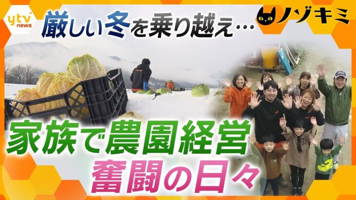 厳しい冬、肥料や資材の高騰…ピンチを乗り越え、家族一丸で取り組む野菜作り【ノゾキミ】