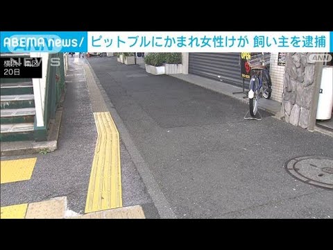 散歩中の大型犬「ピットブル」が通行人襲いけが　管理怠った疑いで飼い主逮捕(2023年2月20日)