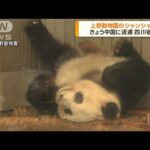 東京・上野動物園　シャンシャンきょう中国に返還(2023年2月21日)