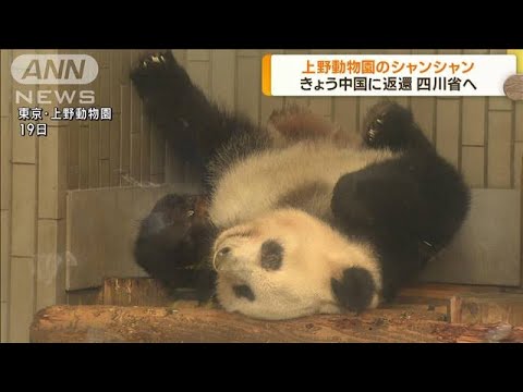 東京・上野動物園　シャンシャンきょう中国に返還(2023年2月21日)