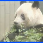 【速報】上野動物園のパンダ「シャンシャン」が動物園を出発　きょう中国へ返還｜TBS NEWS DIG