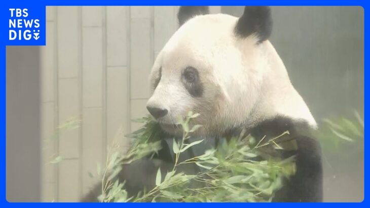 【速報】上野動物園のパンダ「シャンシャン」が動物園を出発　きょう中国へ返還｜TBS NEWS DIG