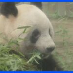 上野動物園パンダ「シャンシャン」が動物園を出発　夕方にも中国・四川省のパンダ保護研究センターへ｜TBS NEWS DIG