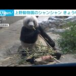 上野動物園の「シャンシャン」きょう中国へ　見送りのファンらが「ありがとう」(2023年2月21日)