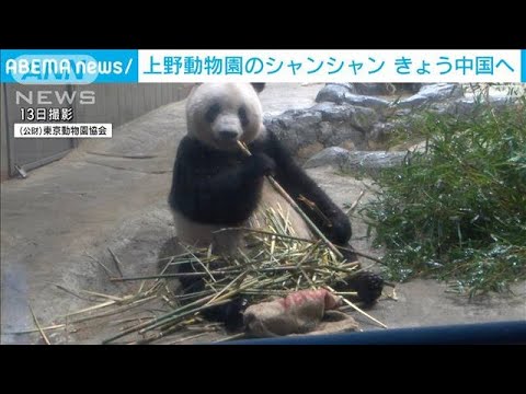 上野動物園の「シャンシャン」きょう中国へ　見送りのファンらが「ありがとう」(2023年2月21日)