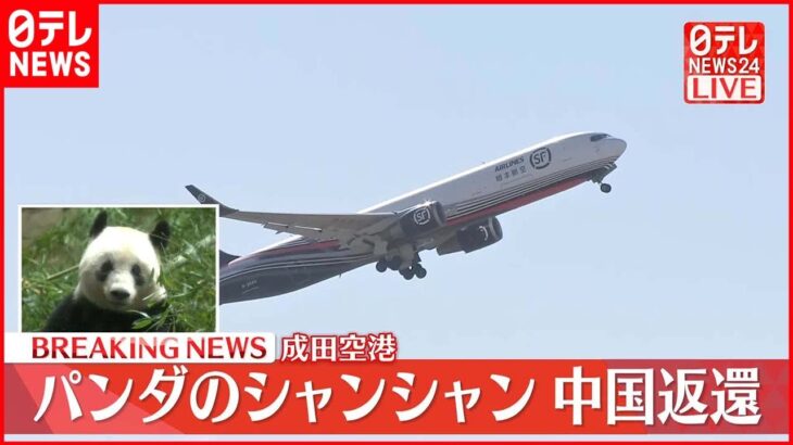 【速報】シャンシャン載せた飛行機が離陸…中国へ 成田空港