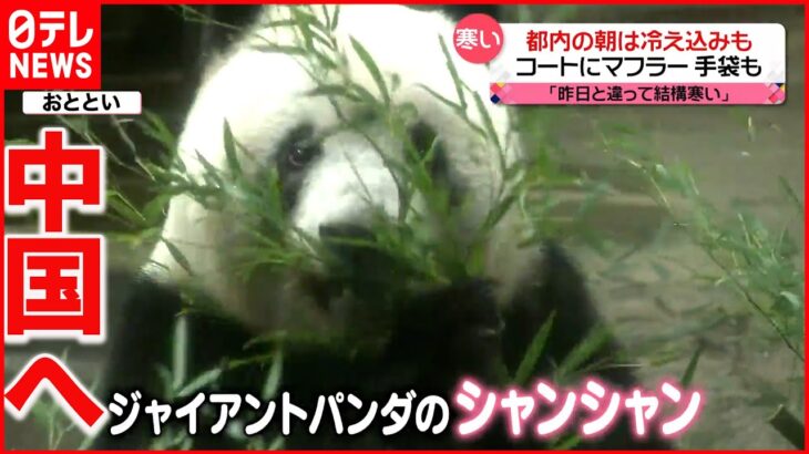【シャンシャン】飛行機で中国へ　上野動物園・園長「“パンダ人生”は長い」活躍を願う