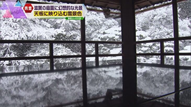 天板に映り込む雪景色…旧竹林院庭園に幻想的な光景　滋賀・大津市