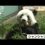 上野の「シャンシャン」中国に到着…和歌山のパンダ3頭も　きょう帰国へ(2023年2月22日)