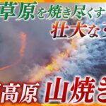 広大なススキ原を力強く美しい炎が焼き尽くす…春を迎える奈良の伝統行事「曽爾高原の山焼き」【かんさい情報ネット ten.映像特集】