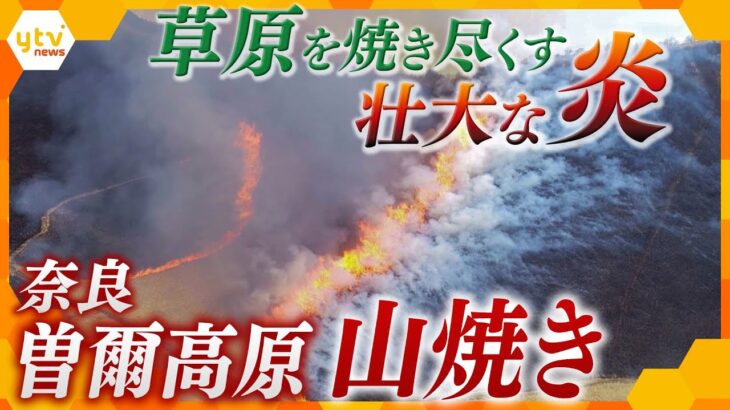 広大なススキ原を力強く美しい炎が焼き尽くす…春を迎える奈良の伝統行事「曽爾高原の山焼き」【かんさい情報ネット ten.映像特集】