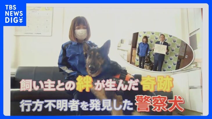 「耳ピーン」で行方不明者を発見　大活躍の警察犬【ゲキ推しさん】｜TBS NEWS DIG