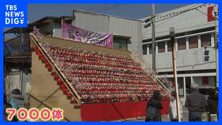 4年ぶり「ビッグひな祭り」で圧巻！7000体ひな人形！気温上昇で春の陽気…河津桜も満開に