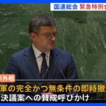 国連総会緊急特別会合　ウクライナ平和決議案採決へ　侵攻1年｜TBS NEWS DIG