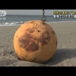 浜松市の海岸に“謎の鉄球”重機でひきずり撤去作業(2023年2月23日)