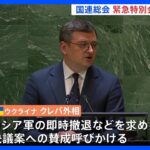 国連総会緊急特別会合　ウクライナ平和決議案採決へ　侵攻1年｜TBS NEWS DIG