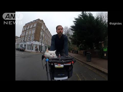 自転車で旅する猫　飼い主とロンドンの街を楽しむ(2023年2月23日)