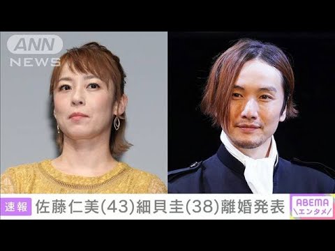 「互いが仕事を優先　生活すれ違い価値観の相違大きくなり…」佐藤仁美・細貝圭　離婚(2023年2月23日)