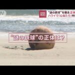 巨大“謎の鉄球”正体判明？　ハワイで「心当たりある」…中国製か(2023年2月23日)