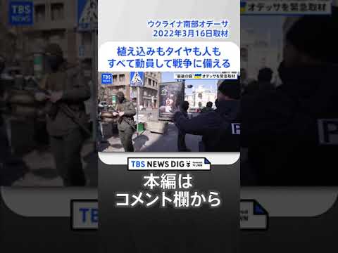 植え込みもタイヤも人も　すべて動員して戦争に備える【ウクライナ・オデーサ】(2022年3月16日取材)#shorts