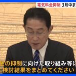 【速報】岸田総理、西村経産大臣に電力料金抑制の取り組みを3月中にまとめるよう指示｜TBS NEWS DIG