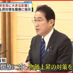 【岸田首相】物価上昇対策を閣僚に指示