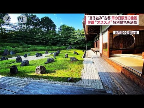 真冬並みの古都 雨の日限定の“鮮やかな光景”　住職「雨が降ったほうがキレイ」(2023年2月24日)