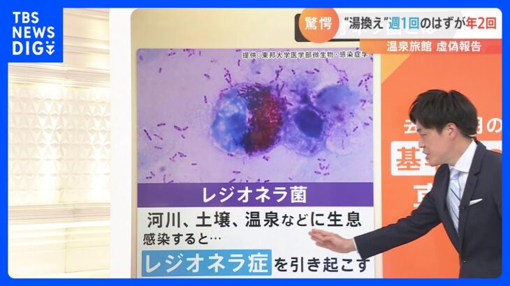 「最悪、死に至る」どこにでもいる菌で感染?レジオネラ症とは｜TBS NEWS DIG