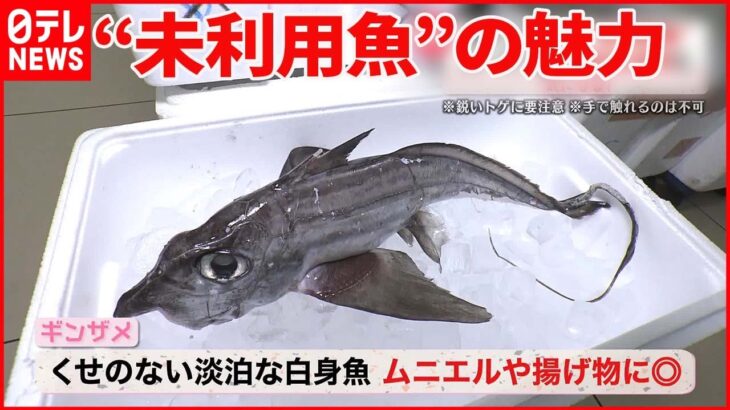 【気になる！】安くて美味！“未利用魚”　温めるだけ…簡単なパック料理も登場