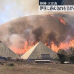 【恒例の山焼き】豪快！ 伊豆に春の訪れ告げる“炎のショー”　大室山で