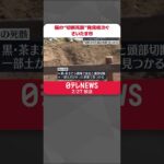 【猫の“切断死骸”】発見相次ぐ…一部土がかかった状態で　さいたま市　 #shorts