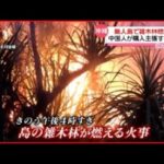 【火事】中国人女性が購入主張の「無人島」で雑木林が燃える 沖縄・屋那覇島