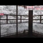 “恵みの雪”温泉地に絶景戻る　酸ケ湯で積雪4m超　西日本でも広範囲で雪(2023年2月21日)
