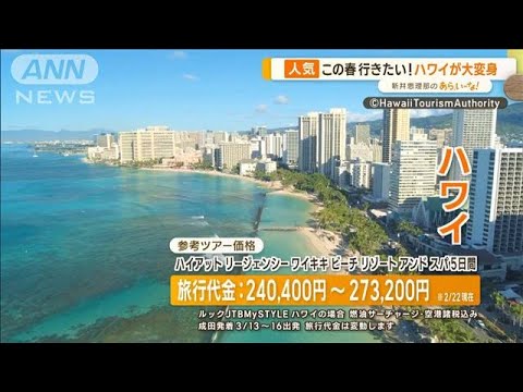 この春行きたい“海外リゾート”4選…人気No.1「ハワイ」や穴場など【あらいーな】(2023年2月24日)