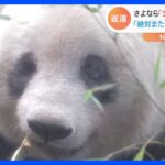 上野のパンダ「シャンシャン」5年8か月の日本生活終え中国へ　沿道には多くのファン｜TBS NEWS DIG