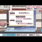 【警報級大雪の恐れ】“積雪5cm”東京都心で何が起きる？交通網は？(2023年2月9日)