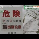 北海道函館市　山林でクマに襲われ69歳の男性けが(2023年2月5日)