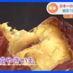 “糖度78度”の焼き芋も…日本一の焼き芋はどの店に？全国26店が埼玉に集結「さつまいも博2023」開幕｜TBS NEWS DIG