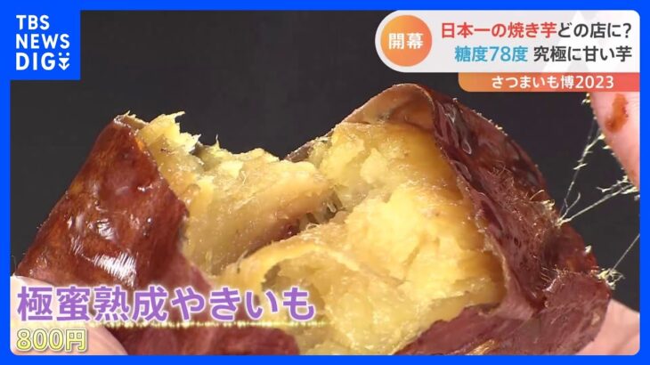 “糖度78度”の焼き芋も…日本一の焼き芋はどの店に？全国26店が埼玉に集結「さつまいも博2023」開幕｜TBS NEWS DIG