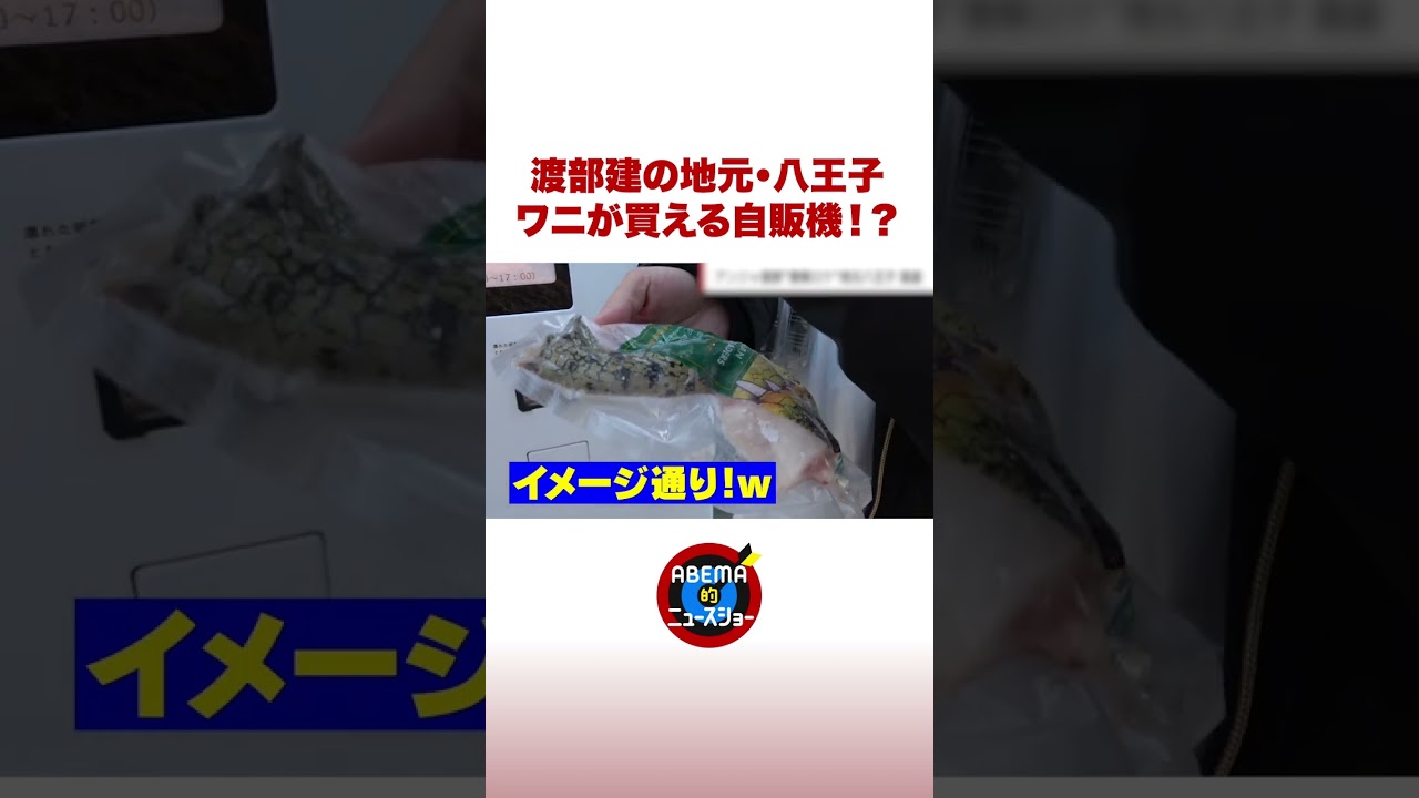 渡部建の地元・八王子 ワニが買える自販機!? #ABEMA的 #shorts