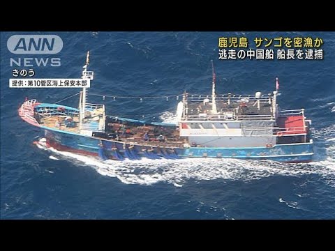 中国漁船が日本のEEZ内でサンゴ密漁か　船長を逮捕(2023年2月23日)