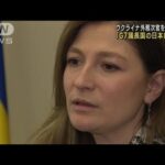 ウクライナ外務次官「G7議長国の日本は重要」(2023年2月11日)