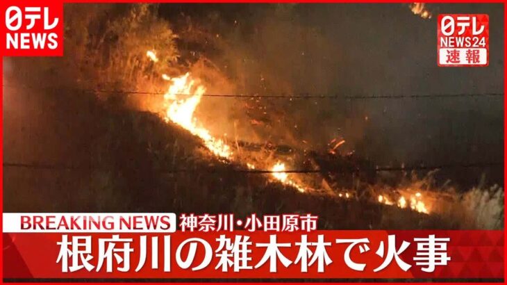 【速報】雑木林で火災発生 JR東海道線の一部区間で運転見合わせ 神奈川・小田原市