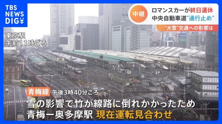 【首都圏・交通情報】JR、私鉄、中央自動車道、首都高、空の便　雪の影響まとめ　10日17時現在｜TBS NEWS DIG