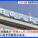 自民党「LGBT理解増進法案」提出に向けた準備進める　党内には慎重意見も根強い｜TBS NEWS DIG