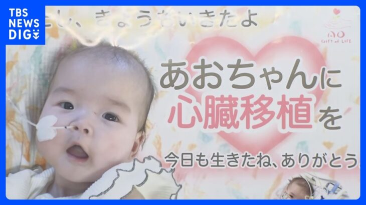 心臓病抱える1歳の女の子「葵ちゃん」移植手術に向け　今月末に渡米｜TBS NEWS DIG