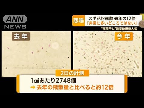 “10年に一度レベル”花粉の大量飛散…量は去年の12倍「非常に多いどころではない」(2023年3月6日)