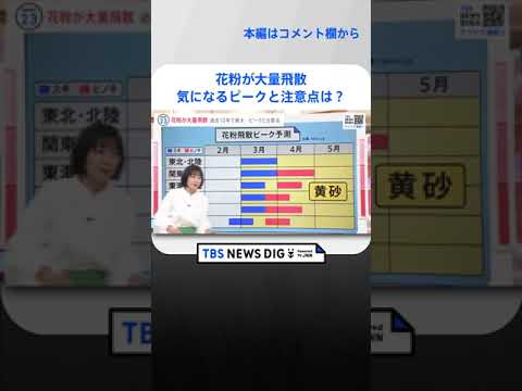 「過去10年で最大レベル」花粉が大量飛散 子どもの花粉症も増加　気になるピークと注意点は？【news23】｜TBS NEWS DIG #shorts